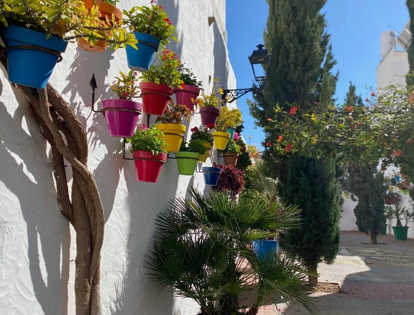 Apartment Apartamento Portada Estepona Spain